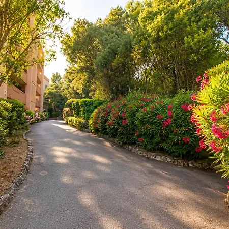 Apartment T2 Santa Lucia, Terrasse Jardin, Clim Et Wifi *